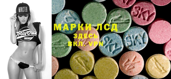стаф Абинск