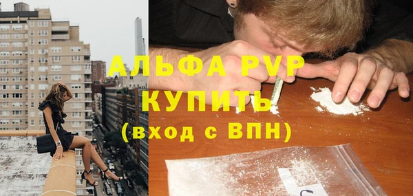 стаф Абинск