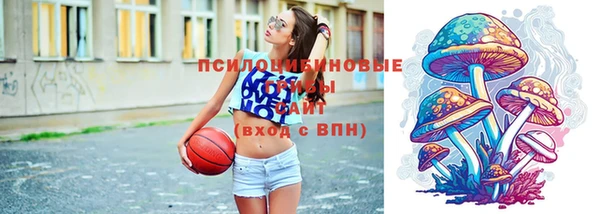 стаф Абинск