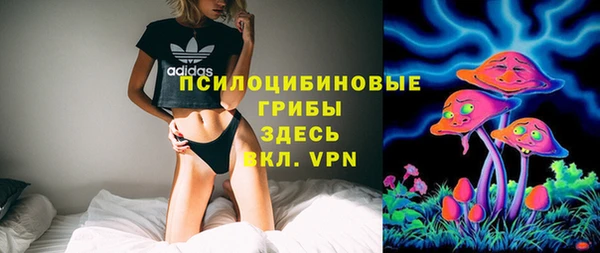 стаф Абинск