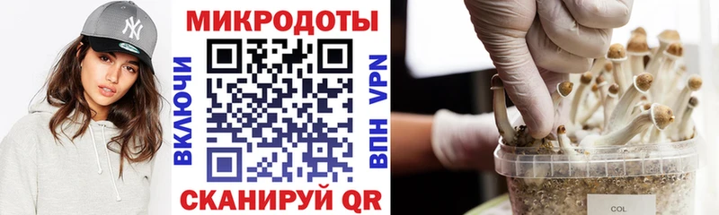 Псилоцибиновые грибы Cubensis Болгар